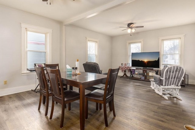 dining room with a wealth of natural light, ceiling fan, and dark wood-type flooring