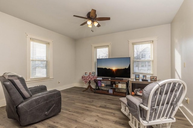 living room with ceiling fan and wood-type flooring