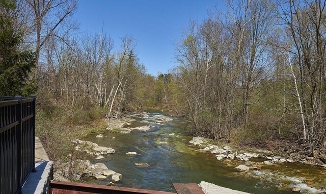 1 River Run Unit 1, Williamstown, MA 01267 - exterior space