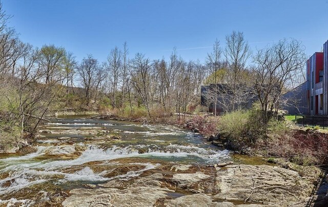1 River Run Unit 1, Williamstown, MA 01267 - view of yard