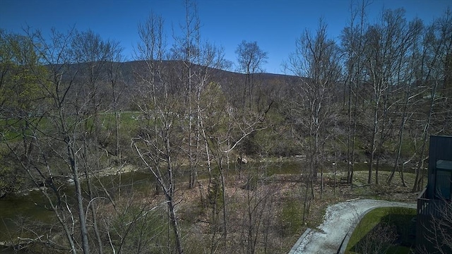 view of mountain feature