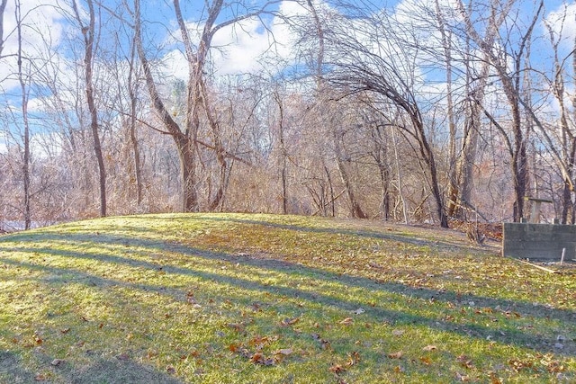 view of yard featuring a wooded view