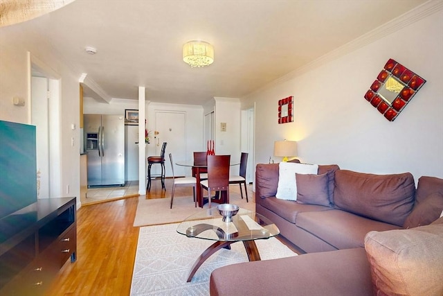 95 Maple St Unit 21, Malden, MA 02148 - living area with ornamental molding and light wood-style floors