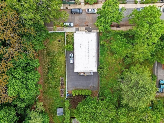 34 Colgate Rd Unit 3, Boston, MA 02131 - aerial view