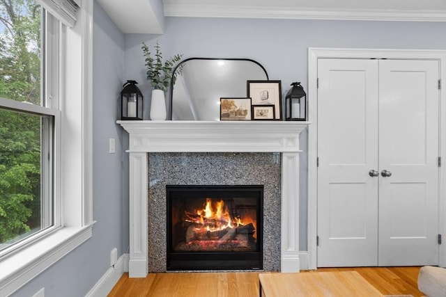 34 Colgate Rd Unit 3, Boston, MA 02131 - detailed view of wood finished floors, crown molding, a fireplace, and baseboards