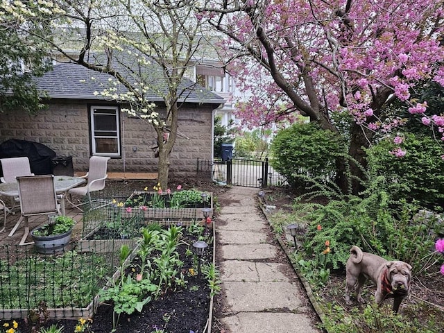 466 Lincoln St, Marlborough, MA 01752 - view of yard featuring a vegetable garden