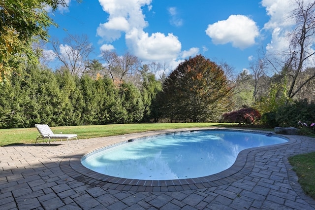 view of swimming pool with a patio area and a lawn