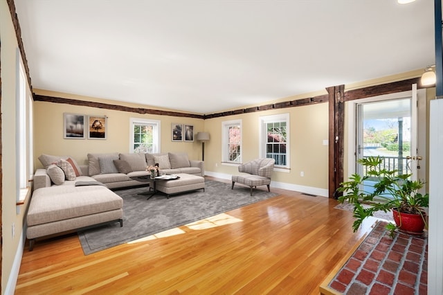 living room featuring hardwood / wood-style floors and a wealth of natural light