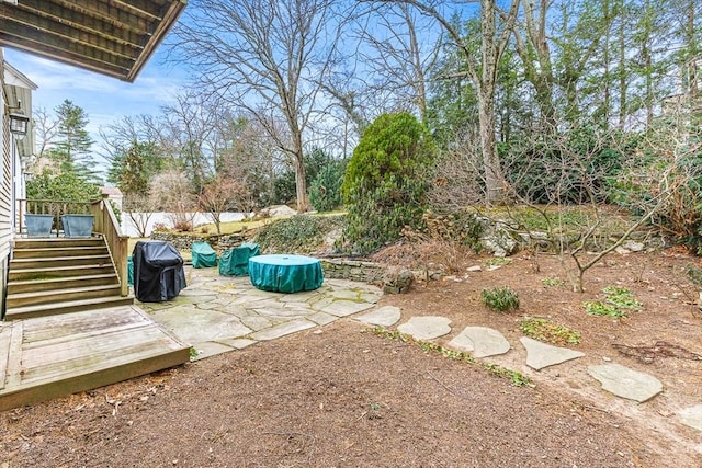 view of yard featuring a patio area