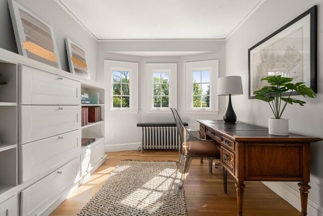 office space featuring crown molding, baseboards, light wood finished floors, and radiator