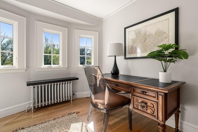office area with baseboards, ornamental molding, wood finished floors, and radiator