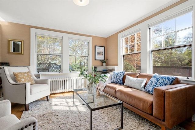 sunroom with radiator heating unit and a healthy amount of sunlight