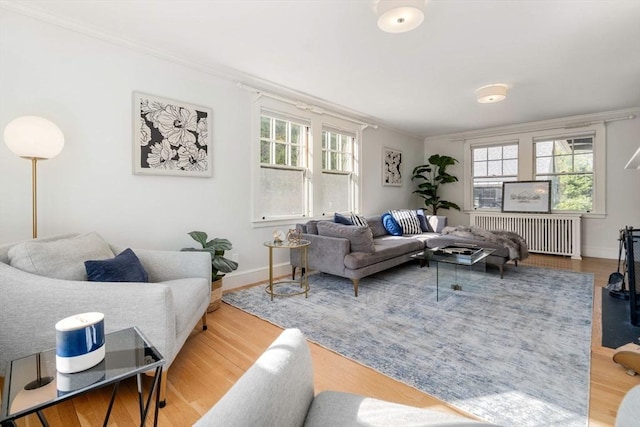 living area with crown molding, radiator, and a healthy amount of sunlight