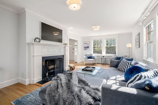 living area with crown molding, a fireplace, radiator heating unit, light wood-style flooring, and baseboards