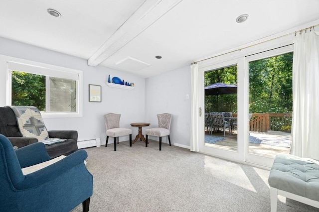 30 Eastview Rd, Hopkinton, MA 01748 - sitting room with a baseboard heating unit, healthy amount of natural light, carpet flooring, and beamed ceiling