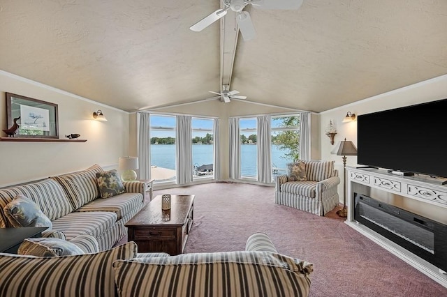 45 Point Pleasant Rd, Webster, MA 01570 - carpeted living room with a ceiling fan, ornamental molding, and a textured ceiling