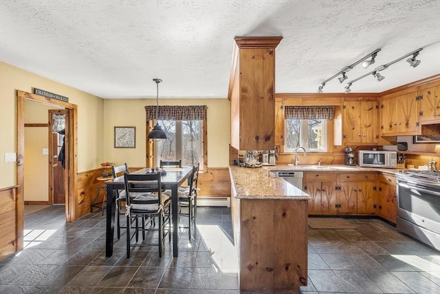 kitchen with a peninsula, appliances with stainless steel finishes, wainscoting, and a healthy amount of sunlight