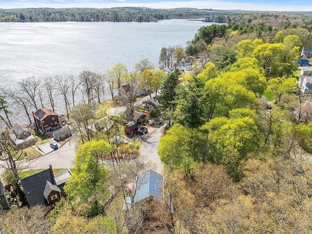 drone / aerial view featuring a water view and a forest view