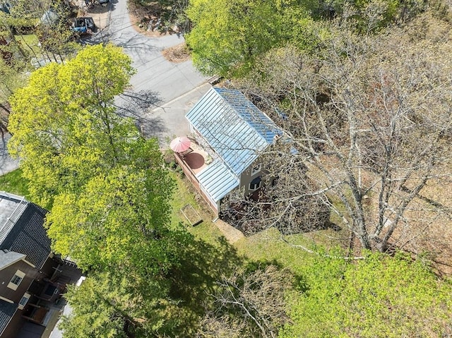 bird's eye view