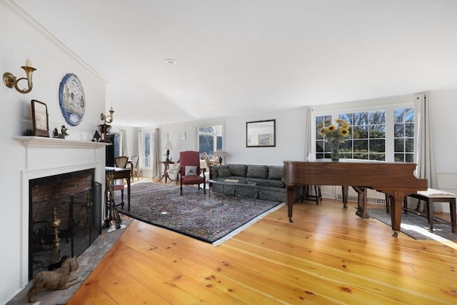 living room featuring wood-type flooring