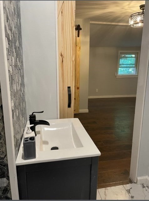 bathroom with wood-type flooring and vanity