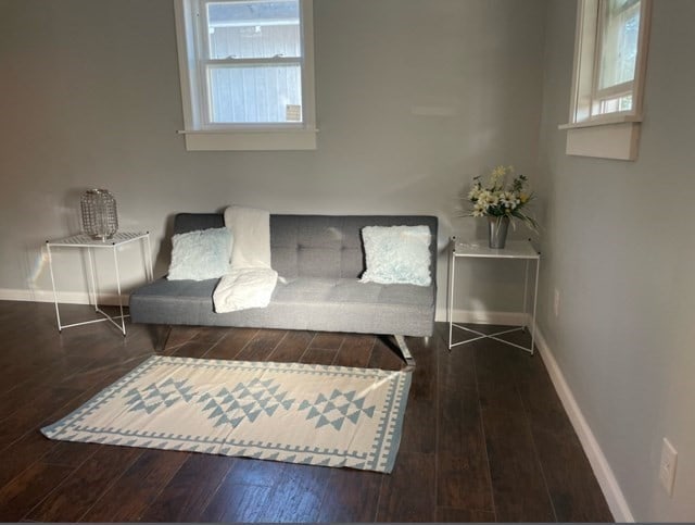 living room featuring hardwood / wood-style floors