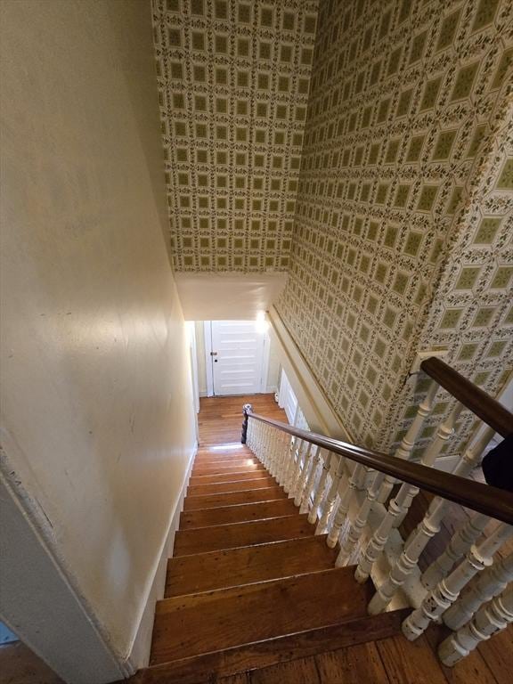 staircase with hardwood / wood-style flooring