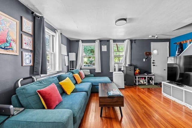 living area featuring wood-type flooring