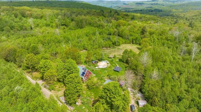 78 Wickett Pond Rd, Wendell, MA 01379 - aerial view of a forest