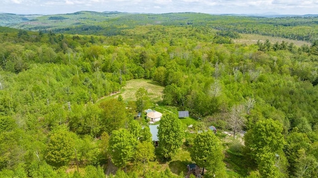 78 Wickett Pond Rd, Wendell, MA 01379 - drone / aerial view of a forest and a mountainous background