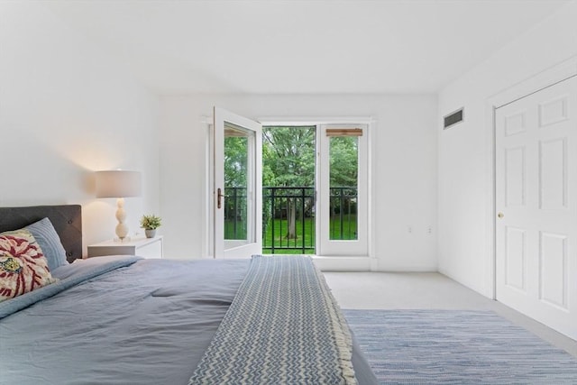 300 Allston Unit 205, Boston, MA 02135 - bedroom with carpet floors