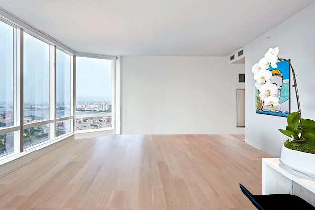 empty room featuring expansive windows and light hardwood / wood-style floors