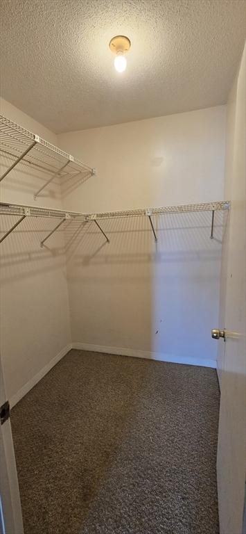 800 Bearses Way Unit 5Nb, Barnstable, MA 02601 - spacious closet featuring carpet