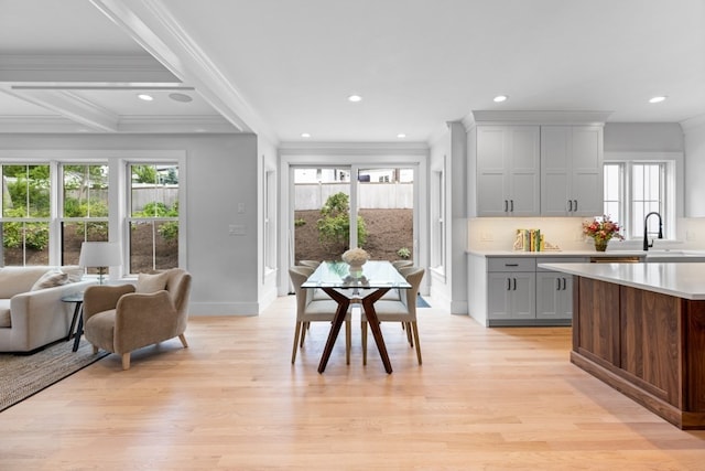 interior space with a healthy amount of sunlight, light hardwood / wood-style floors, and crown molding