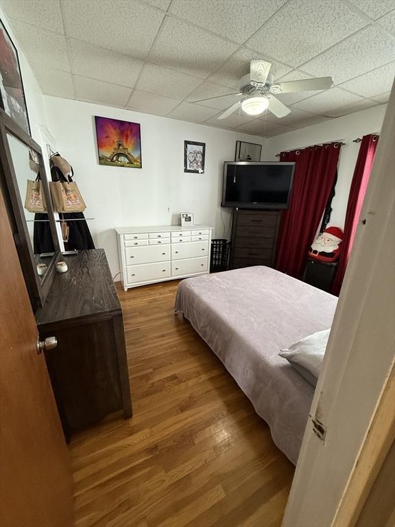 50 Proctor Ave, Revere, MA 02151 - bedroom with a paneled ceiling, wood finished floors, and ceiling fan
