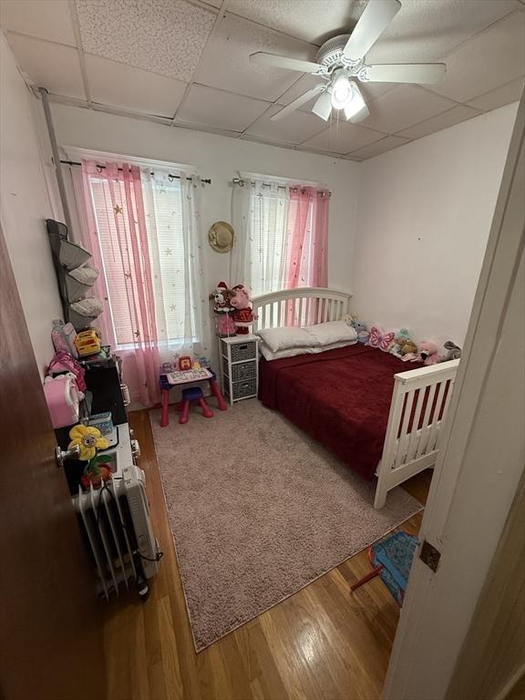 50 Proctor Ave, Revere, MA 02151 - bedroom featuring wood finished floors, a paneled ceiling, and a ceiling fan