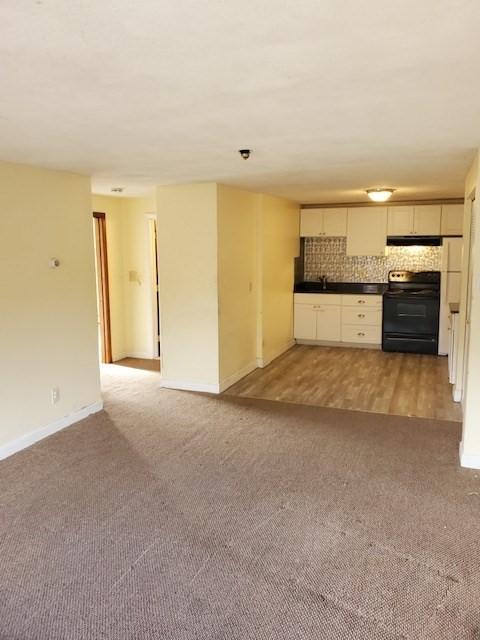 unfurnished living room featuring light wood-type flooring and sink