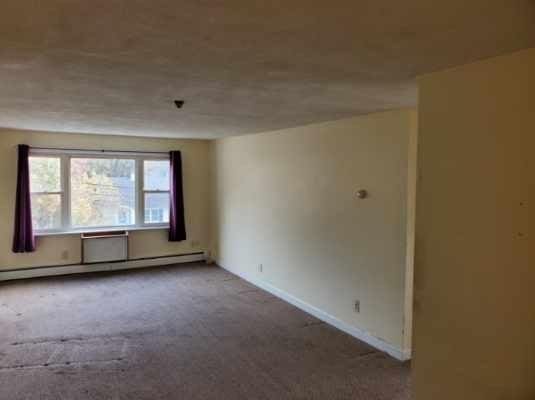 unfurnished room featuring baseboard heating and carpet