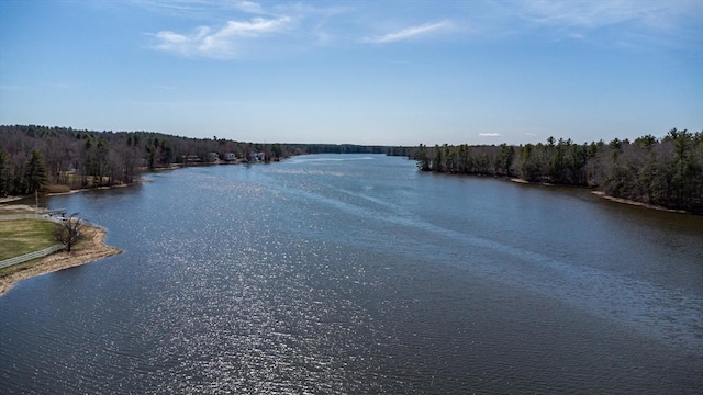 water view with a forest view