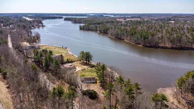 birds eye view of property with a forest view and a water view