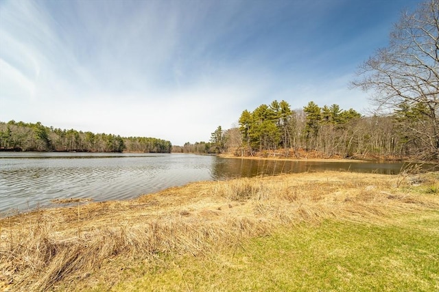 water view featuring a forest view