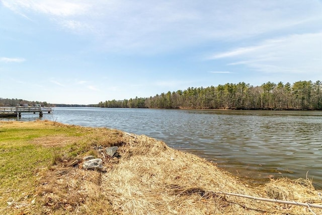 property view of water featuring a forest view