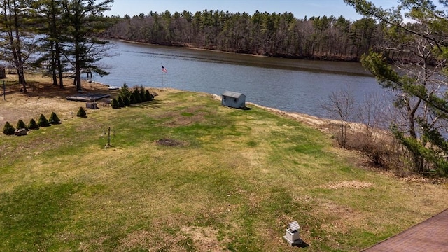 water view with a view of trees