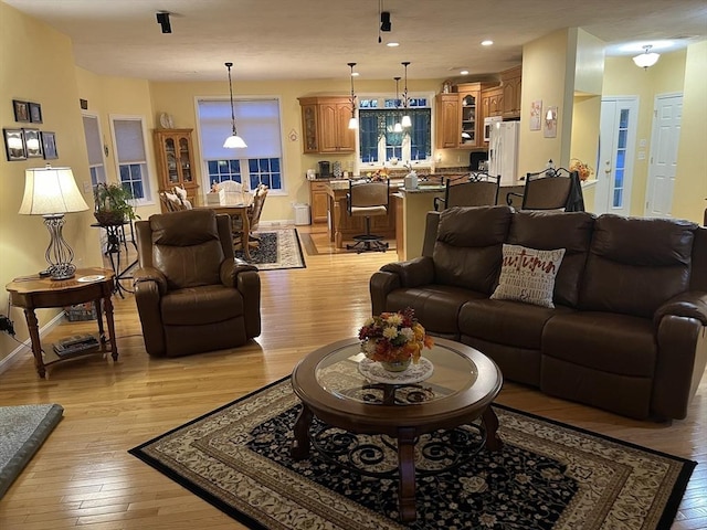 living room with light hardwood / wood-style flooring