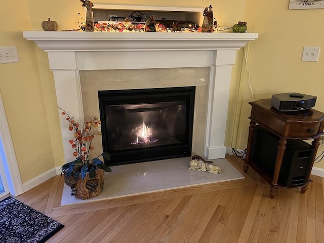 room details with a premium fireplace