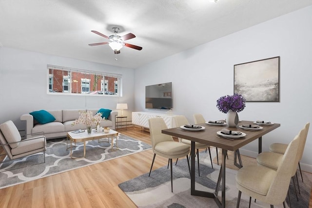18 Pond St Unit 2, Boston, MA 02130 - living room with wood finished floors and ceiling fan