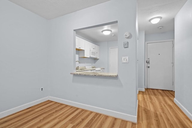 18 Pond St Unit 2, Boston, MA 02130 - unfurnished dining area with light wood finished floors, baseboards, a textured ceiling, and a sink