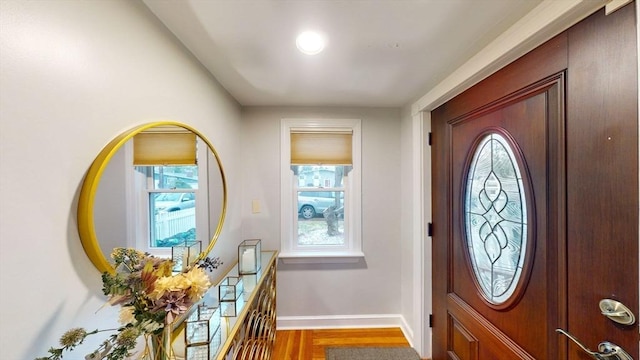 foyer entrance featuring wood-type flooring