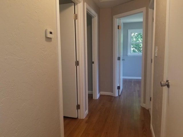 65 Reservoir St Unit 65, Holden, MA 01520 - hallway featuring wood finished floors and baseboards
