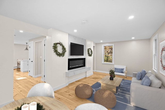 living room featuring a premium fireplace and light wood-type flooring